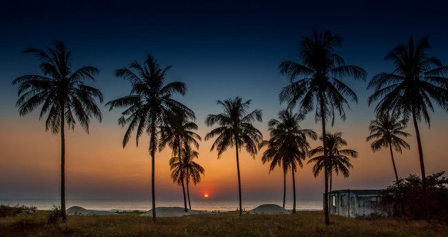 Обои картинки фото природа, тропики, пальмы, берег, океан, вечер, солнце, горизонт