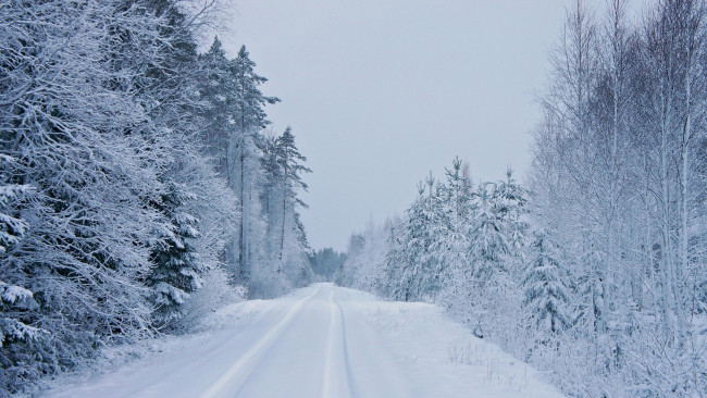 Обои картинки фото природа, зима, деревья, дорога