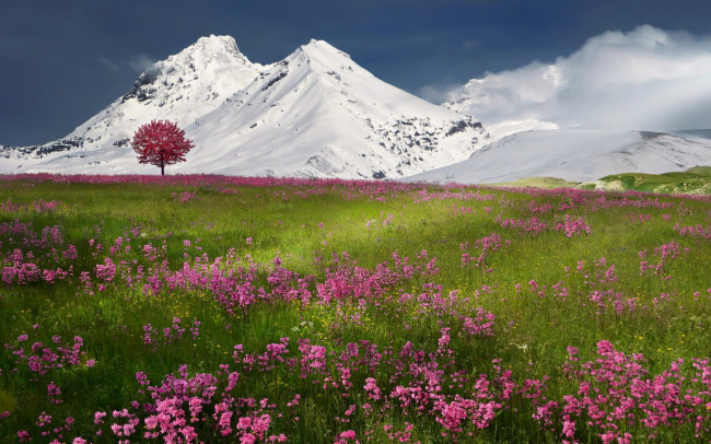 Обои картинки фото природа, луга, горы, снег, весна, зима