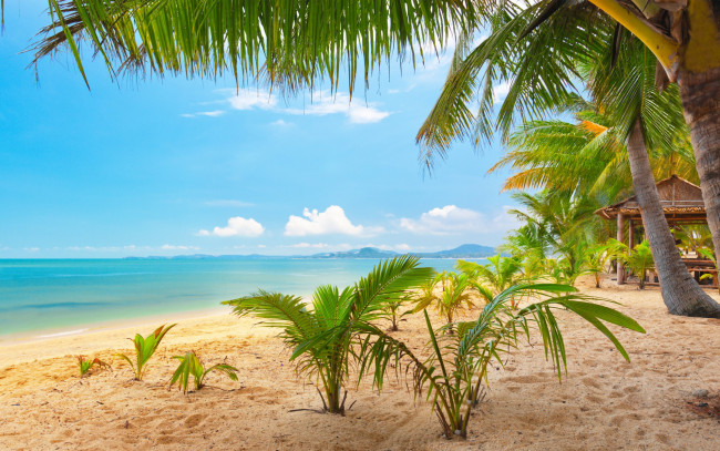 Обои картинки фото природа, тропики, маэнам, таиланд, самуи, тропический, пляж, облака, небо, песок, море, пейзаж