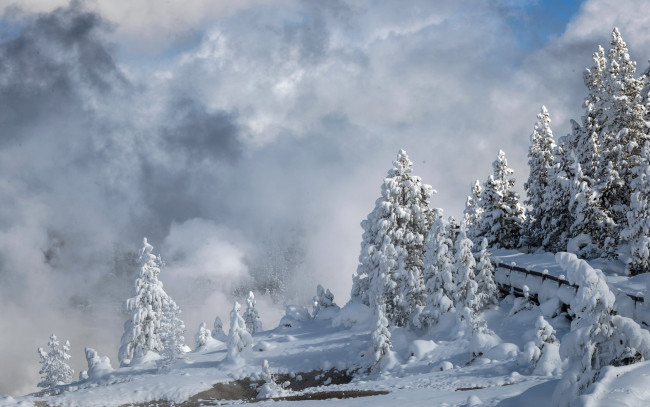 Обои картинки фото природа, зима, облака, ели, снег
