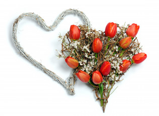 Картинка цветы тюльпаны композиция сердце