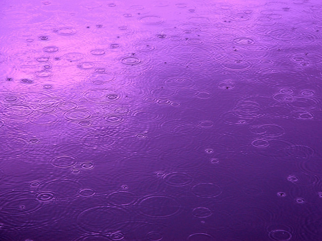 Обои картинки фото разное, капли,  брызги,  всплески, дождь, цвет, вода, круги