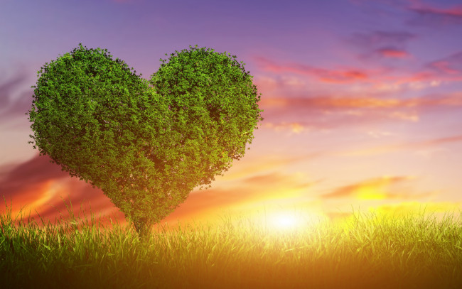 Обои картинки фото разное, компьютерный дизайн, дерево, любовь, sunset, green, heart, love, tree, закат, сердце