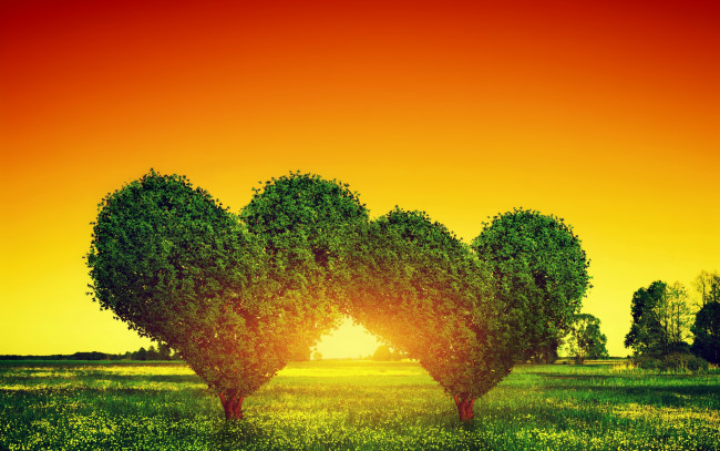 Обои картинки фото разное, компьютерный дизайн, сердце, закат, дерево, heart, tree, love, любовь, sunset, green