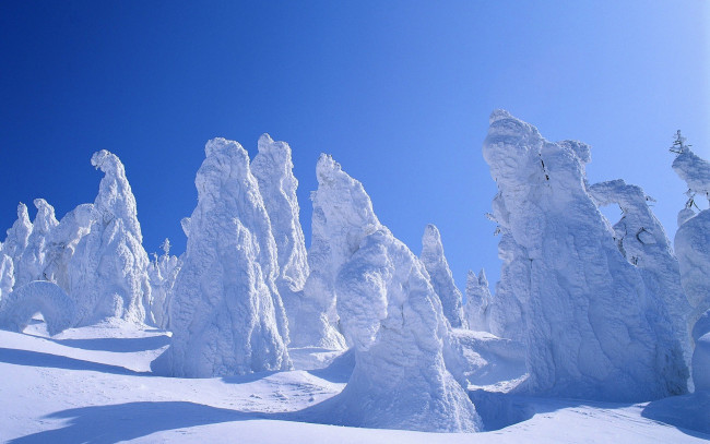 Обои картинки фото природа, зима, небо, лес, деревья, снег, мороз