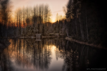 Картинка природа реки озера река лес ночь