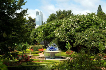 Картинка природа парк фонтан