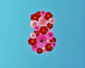 обоя праздничные, международный женский день - 8 марта, цветы, восьмерка