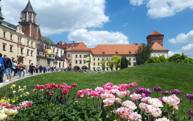 Обои картинки фото wawel castle, города, краков , польша, wawel, castle