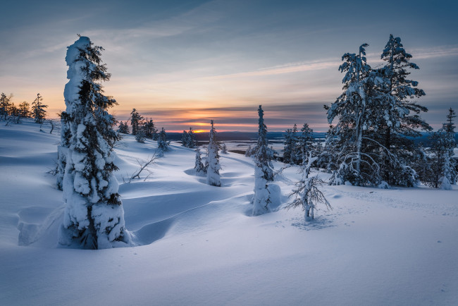 Обои картинки фото природа, зима, eль, россия, закат, снег