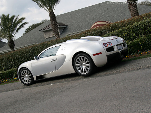 Обои картинки фото bugatti, 16, veyron, автомобили