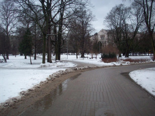 Картинка рига верманский парк города латвия