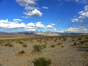 Картинка death valley природа пустыни california