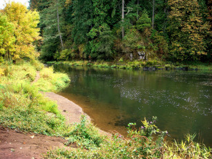 Картинка природа реки озера камни река лес