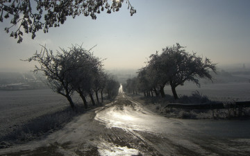 обоя природа, дороги, пейзаж, дорога, туман, утро
