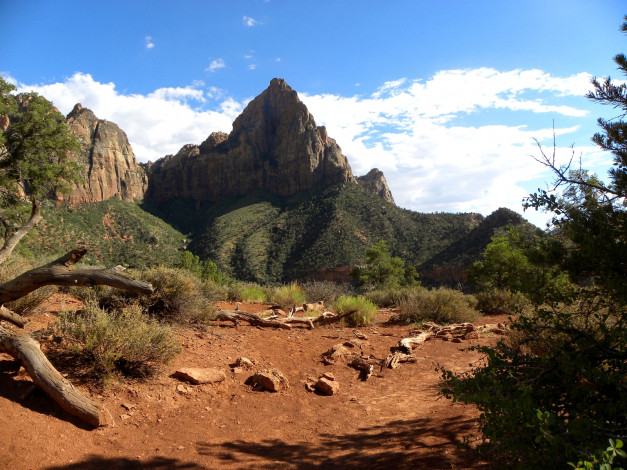 Обои картинки фото zion, national, park, природа, горы, сша