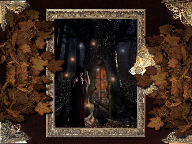 Обои картинки фото фэнтези, другое, дверь, капюшон, рамка, дерево, собаки, листва, огни, ночь