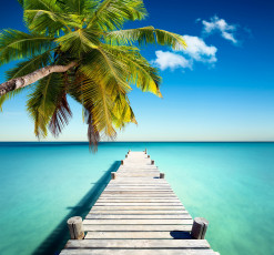 Картинка природа тропики берег пляж песок море солнце океан остров