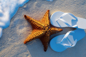 Картинка разное ракушки +кораллы +декоративные+и+spa-камни glasses step-ins summer sand starfish beach vacation sea