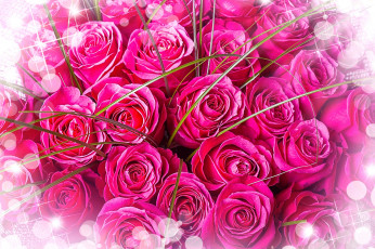 Картинка цветы розы букет розовые розовый фон