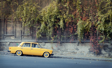 Картинка автомобили ваз растения стена лиана дикий виноград улица желтая жигули лада 2106