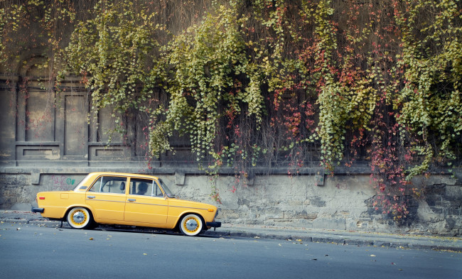 Обои картинки фото автомобили, ваз, растения, стена, лиана, дикий, виноград, улица, желтая, жигули, лада, 2106