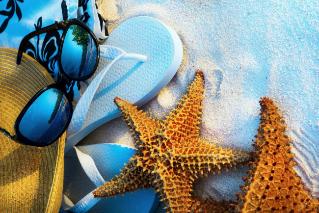 Обои картинки фото разное, ракушки,  кораллы,  декоративные и spa-камни, beach, vacation, summer, sand, starfish
