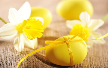 Картинка праздничные пасха нарциссы цветы яйца spring flowers eggs easter