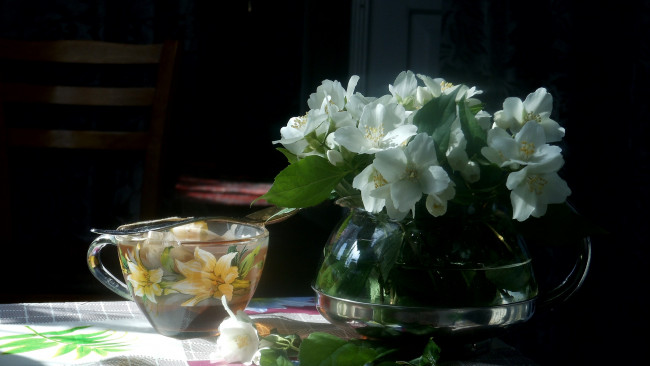 Обои картинки фото еда, напитки,  Чай, жасмин, цветы, чай, чашка