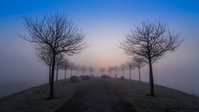 Обои картинки фото природа, дороги, туман, деревья, утро, дорога, небо