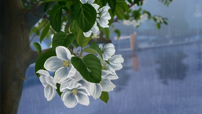 Обои картинки фото рисованное, цветы, листья, ветка, капли, дождь, яблоня, дерево, белые