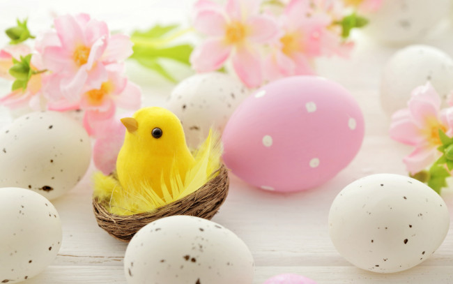 Обои картинки фото праздничные, пасха, цыплёнок, яйца, spring, eggs, easter