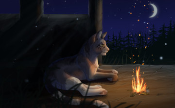 Картинка рисованное животные +коты костер луна лес кот