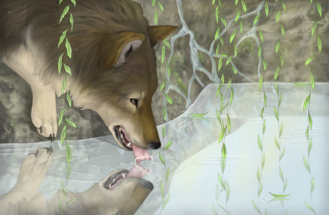 Обои картинки фото рисованное, животные,  волки, вода, волк, отражение