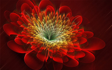 Картинка 3д+графика цветы+ flowers красный цветок