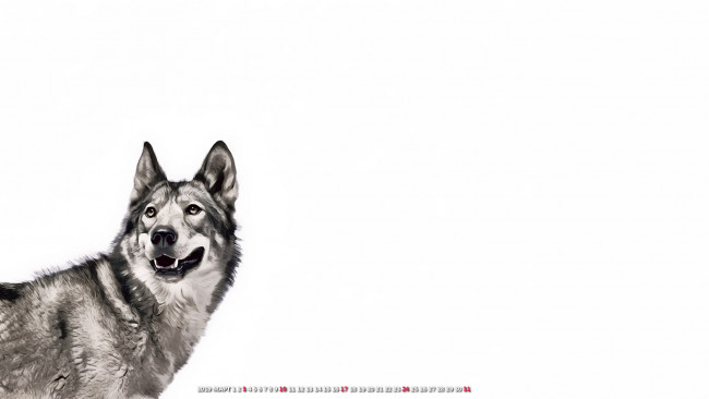 Обои картинки фото календари, рисованные,  векторная графика, волк, животное