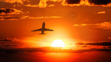 обоя авиация, пассажирские самолёты, самолет, полет, небо, закат