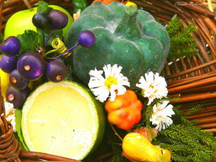Картинка еда фрукты овощи вместе