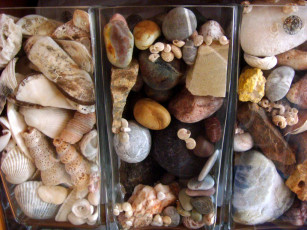 обоя разное, ракушки, кораллы, декоративные, spa, камни