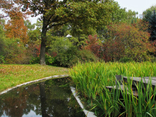 Картинка ботанический сад москва природа парк пруд растения
