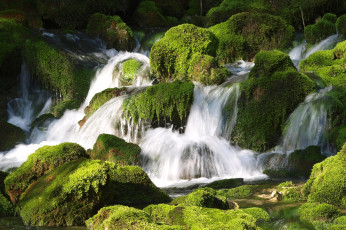 Картинка природа водопады каскад камни мох