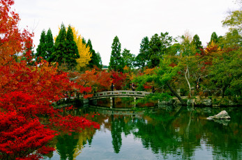 Картинка природа парк японский сад