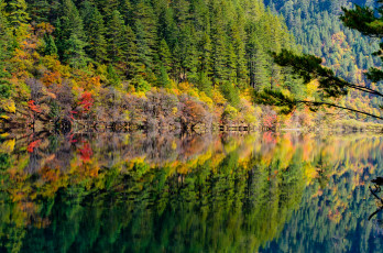 Картинка природа реки озера китай лес отражение