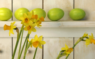 Картинка цветы нарциссы яйца полка желтые