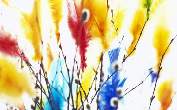 Картинка разное перья ветки почки верба букет