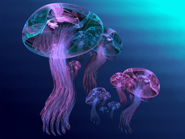 Обои картинки фото 3д, графика, animals, животные, медуза, абстракция