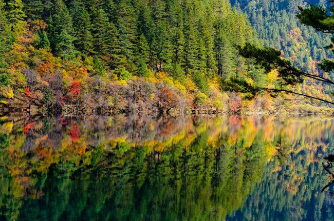 Обои картинки фото природа, реки, озера, китай, лес, отражение