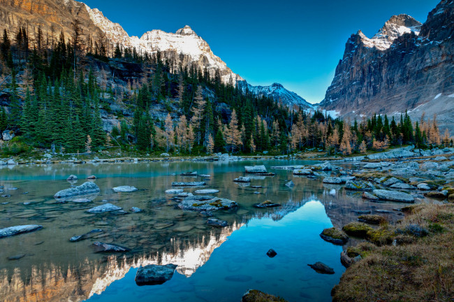 Обои картинки фото природа, реки, озера, канада, горы, лес, камни, отражение