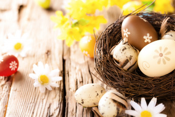 обоя праздничные, пасха, ромашки, яйца, flowers, camomile, eggs, wood, easter